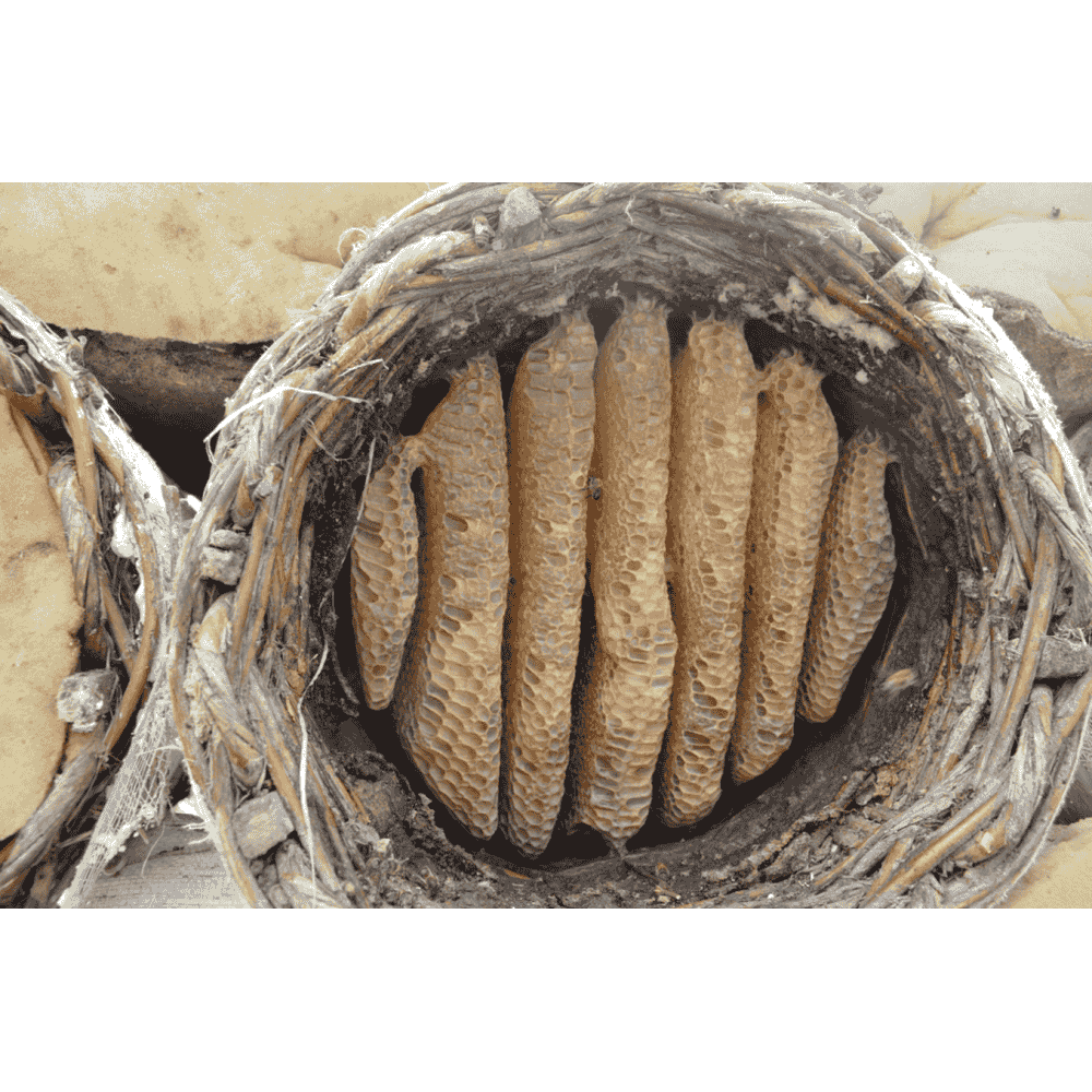 BİTLİS SEPET KARAKOVAN BALI 1.3 - 1.5 kg 